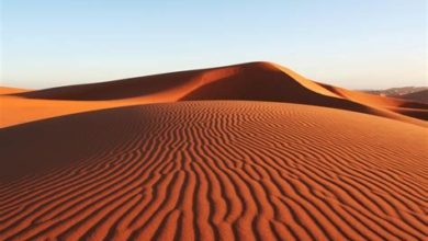 Photo of I^ Domenica di Quaresima. Entrare nel deserto della decisione: mettersi nelle mani di Dio o mettersi nelle mani delle cose, del potere, del miracolistico?