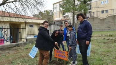 Photo of “Coltiviamo il futuro”. Progetto della scuola media Neglia-Savarese