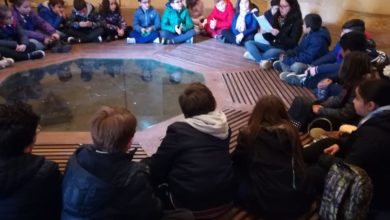 Photo of X edizione del Premio Signorelli. Al via oggi l’intensa settimana ricca di appuntamenti