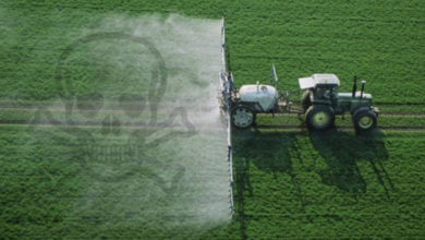 Photo of Vietato l’utilizzo di prodotti erbicidi a base di Glifosato sull’intero territorio comunale