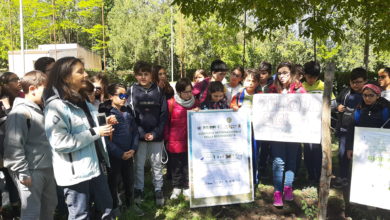 Photo of A Pergusa gli studenti piantano la zelkova sicula rarissima pianta
