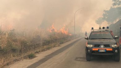 Photo of Condannato l’incendiario che diede fuoco a decine di ettari tra Floristella e la Riserva di Rossomanno