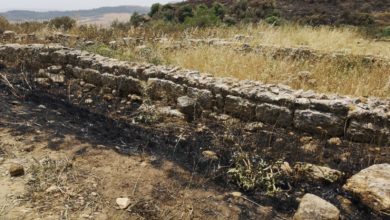 Photo of INCENDIO AREA ARCHEOLOGICA DI MORGANTINA. TRENTACOSTE: LA SITUAZIONE DI INCURIA E RITARDO NELLE MANUTENZIONI STAGIONALI SI PROTRAE DA ANNI, UN VERO PERICOLO PER I VISITATORI