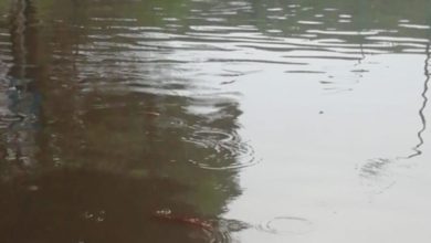 Photo of Violento temporale si abbatte sul capolugo. Allagata via Mazza