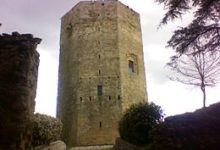 Photo of Enna, Villa Torre di Federico: al via gli interventi di messa in sicurezza del patrimonio arboreo