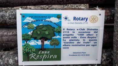 Photo of Il Rotary dona gli alberi da frutto per il progetto “Mille alberi a quota mille. Enna Respira.