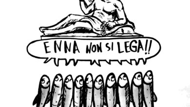 Photo of SARDINE IN DIREZIONE OSTINATA E CONTRARIA