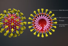 Photo of Coronavirus e informazione: cronaca o terrorismo mediatico? (Parte terza)