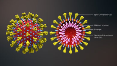 Photo of Coronavirus e informazione: cronaca o terrorismo mediatico? (Parte terza)