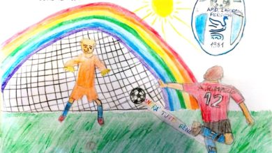 Photo of Irregolarità nel concorso organizzato dalla Figc. Lo segnala la società Lagoreal che ha visto un suo iscritto piazzarsi al terzo posto