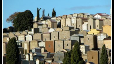 Photo of Una corona di fiori sarà deposta domani al cimitero per tutti i defunti. Iniziativa del fioraio Thomas e della ditta Angileri