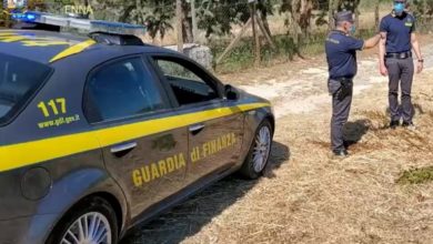 Photo of 36 Imprenditori agricoli percepivano il reddito di cittadinanza. Indagine condotta dalla Guardia di Finanza scopre