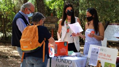 Photo of Bilancio positivo per le Giornate FAI al Villaggio Bizantino di Calascibetta