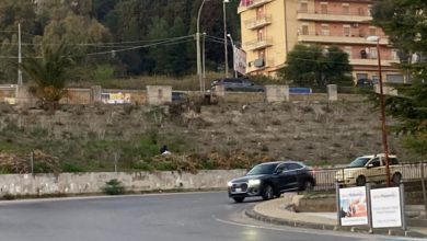 Photo of GESTIONE ECOSISTEMICA DELLE AREE VERDI URBANE: ANALISI E PROPOSTE PER LA CITTA’ DI ENNA