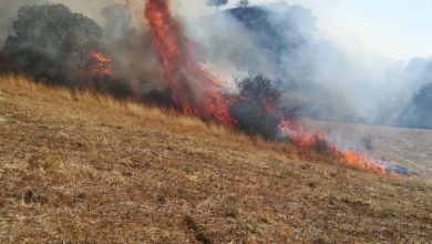 Photo of Incendio al bivio Ramata. Vigili del fuoco impegnati su più fronti
