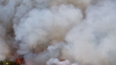 Photo of INCENDI, BONFANTI: ”TELEFONI DI EMERGENZA IN TILT, CATASTROFE IMMANE CONCLAMATA. NELLE CAMPAGNE LO STATO E’ SCOMPARSO, MA NESSUNO VUOLE AMMETTERLO”