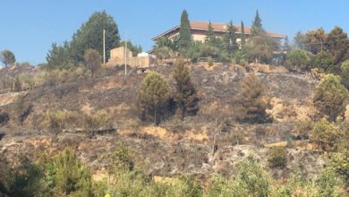 Photo of Violento incendio a Leonforte in contrada Picinosa