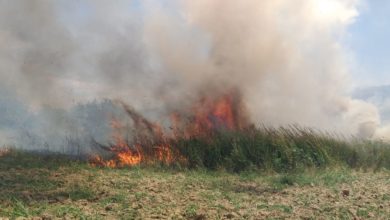 Photo of “Chi ha visto denunci i piromani”. L’appello del sindaco DiPietro ai cittadini