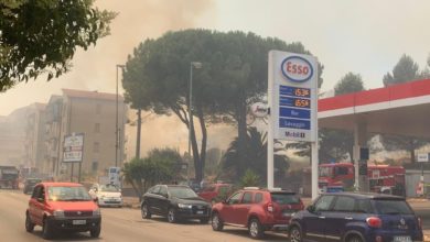 Photo of Domato l’incendio ad Enna Bassa. In corso le operazioni di bonifica da parte dei vigili del fuoco