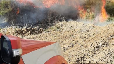 Photo of VIGILI DEL FUOCO : RADDOPPIATI I TURNI IN TUTTA LA REGIONE PER CONTRASTARE L EMERGENZA INCENDI