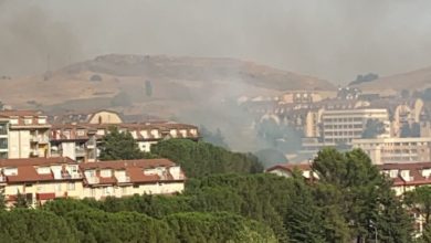 Photo of Riflessioni sugli incendi di Pagaria