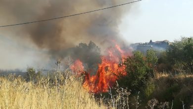 Photo of VASTO INCENDIO TRA BORGO CASCINO E SAN TOMMASELLO