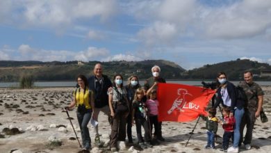 Photo of EUROBIRDWATCH 2021 al Lago di Pergusa