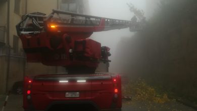 Photo of Diversi alberi abbattuti a causa del forte vento. Situazione critica in tre comuni