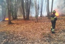 Photo of Denunciato piromane preso dopo aver appiccato il fuoco in un bosco a Sperlinga