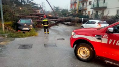 Photo of Numerosi i danni del maltempo in tutta la provincia