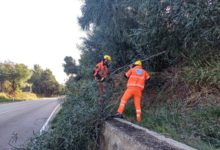 Photo of DECINE DI ALBERI CADUTI : IL SINDACO DI PIETRO INCARICA I VOLONTARI DELL’ENTE CORPO PROTEZIONE CIVILE ENNA PER LA MESSA IN SICUREZZA