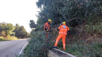 Photo of DECINE DI ALBERI CADUTI : IL SINDACO DI PIETRO INCARICA I VOLONTARI DELL’ENTE CORPO PROTEZIONE CIVILE ENNA PER LA MESSA IN SICUREZZA