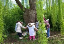 Photo of Prosegue “Biblioinsieme”: a Enna nuove iniziative tra libri, natura e laboratori per grandi e piccoli