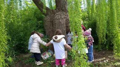 Photo of Prosegue “Biblioinsieme”: a Enna nuove iniziative tra libri, natura e laboratori per grandi e piccoli