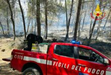 Photo of Enna, primi incendi di stagione: Vigili del Fuoco in azione in contrada Baronessa