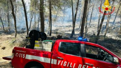 Photo of Enna, primi incendi di stagione: Vigili del Fuoco in azione in contrada Baronessa