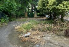 Photo of Pisciotto dimenticata: simbolo dell’immobilismo amministrativo