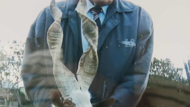 Photo of Enna, sì è spento Francesco Ballarò, conosciuto in città come Zze Ginu, ultimo capraio 