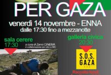 Photo of Enna, il Comitato pro Palestina promuove la giornata “Generazioni per Gaza” venerdì 14 novembre