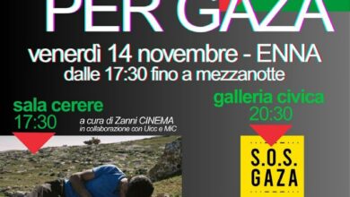 Photo of Enna, il Comitato pro Palestina promuove la giornata “Generazioni per Gaza” venerdì 14 novembre