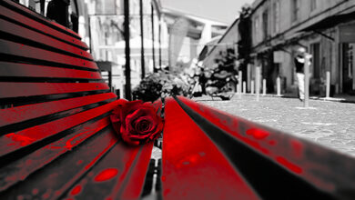 Photo of È sempre 25 novembre