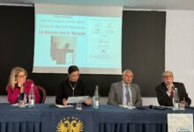 Photo of “La Mente tra le Nuvole”: focus su metacognizione e metaemozione. Nasce “ALETEIA Sistema – Polo Clinico, Universitario e Tecnologico degli Erei”