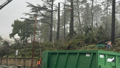 Photo of Enna, sicurezza arborea alla Villa Torre di Federico: interventi urgenti per ripristinare il transito