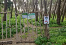 Photo of Bracconaggio nei demani forestali dell’Ennese: l’allarme di Legambiente e WWF