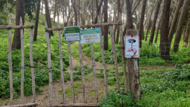 Photo of Bracconaggio nei demani forestali dell’Ennese: l’allarme di Legambiente e WWF