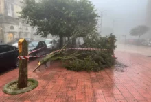 Photo of Enna, maltempo di gennaio: il Comune stima i primi danni. Oltre 2,8 milioni di euro per interventi urgenti