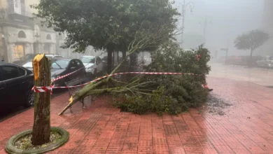 Photo of Enna, maltempo di gennaio: il Comune stima i primi danni. Oltre 2,8 milioni di euro per interventi urgenti