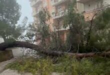 Photo of Maltempo a Enna: il COC fa il punto sui danni e avvia gli interventi urgenti