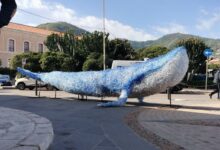 Photo of Enna, arte e riuso della plastica: da venerdì in mostra al Garage la grande Balena di Antonella Cirrito