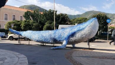 Photo of Enna, arte e riuso della plastica: da venerdì in mostra al Garage la grande Balena di Antonella Cirrito